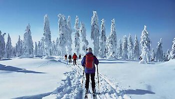Urlaub im Februar 2026 im Bayerischen Wald